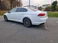 Volkswagen Passat Passat Elegance 2,0 SCR TDI DSG Elegance - thumbnail 11