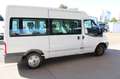 Ford Transit Kombi FT 300 M Trend-Klima, 9-Sitze Blanc - thumbnail 6