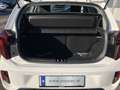 Kia Picanto TITAN 1.0 Navi, AppleCarPl, Android Au. Weiß - thumbnail 15