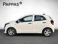 Kia Picanto TITAN 1.0 Navi, AppleCarPl, Android Au. Weiß - thumbnail 6
