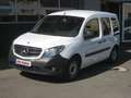 Mercedes-Benz Citan 109 CDI Behindertengerecht Rampe Weiß - thumbnail 6