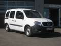 Mercedes-Benz Citan 109 CDI Behindertengerecht Rampe Weiß - thumbnail 3