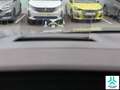 Ford Kuga 1.5 EcoBoost ST-Line X FWD 150 Grigio - thumbnail 25
