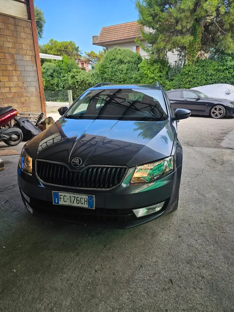 Skoda Octavia Wagon 1.6 tdi cr Executive Greenline 110cv E6 - 1