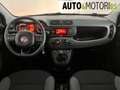 Fiat Panda 1.0 FireFly S&S Hybrid Easy Grigio - thumbnail 10