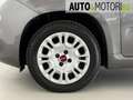 Fiat Panda 1.0 FireFly S&S Hybrid Easy Grigio - thumbnail 8