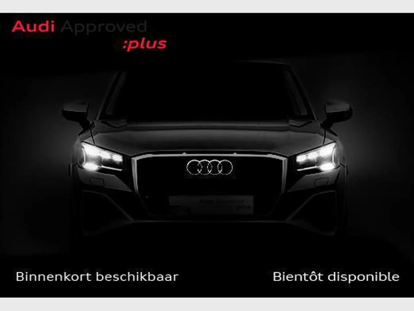 Audi Q6 e-tron SUV S line performance Gris - 1