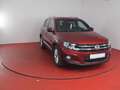 Volkswagen Tiguan Lounge 1.4 TSI TÜV bis 05/2026 AHK Rückfahrkamera Rot - thumbnail 22