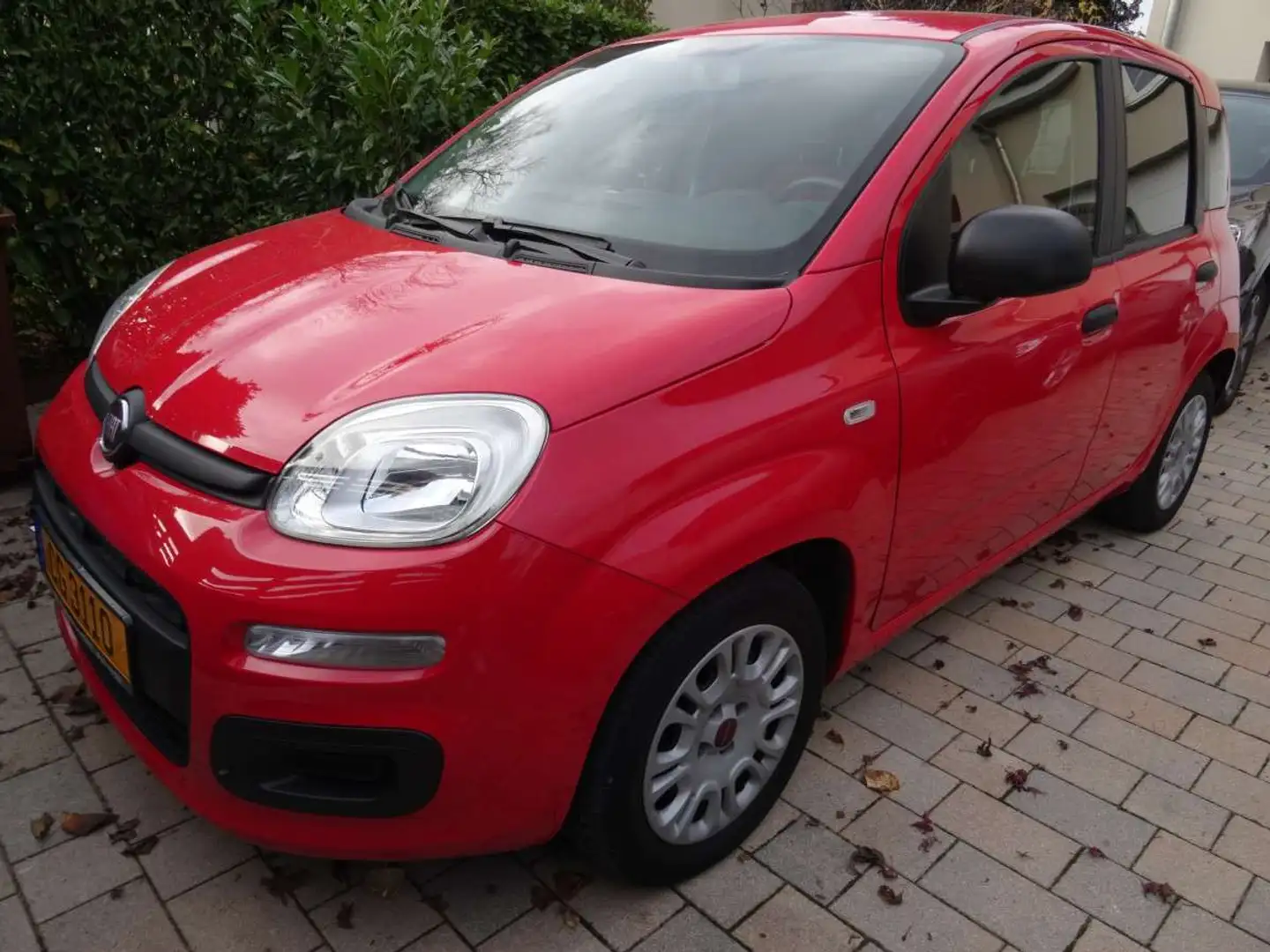 Fiat New Panda 1.3 MTJ Roşu - 1