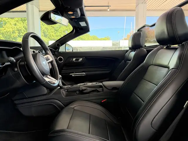 Ford Mustang view 13