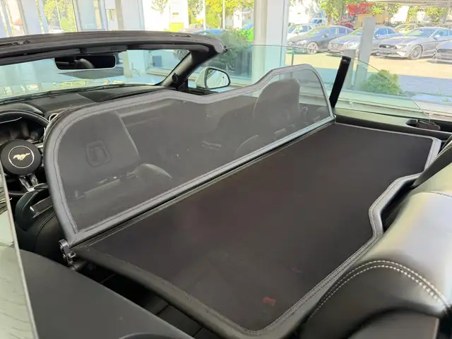 Ford Mustang view 11