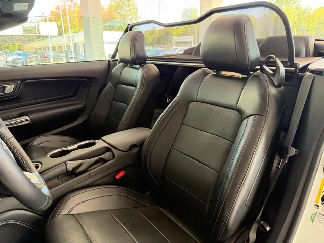 Ford Mustang view 14
