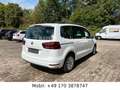SEAT Alhambra Style*Aut*1Hand*Kam*PDC*Navi*Blu*Eu6 Bianco - thumbnail 5