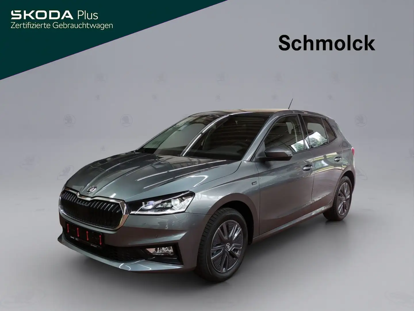 Skoda Fabia Tour 1.0 MPI 80 PS CLIMATRONIC LED PDC Grau - 1