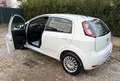 Fiat Punto 1.2 BENZINA # 68.000 KM. # UNICO PROPRIETARIO Bianco - thumbnail 2