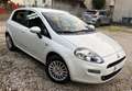Fiat Punto 1.2 BENZINA # 68.000 KM. # UNICO PROPRIETARIO Bianco - thumbnail 4