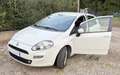 Fiat Punto 1.2 BENZINA # 68.000 KM. # UNICO PROPRIETARIO Bianco - thumbnail 1