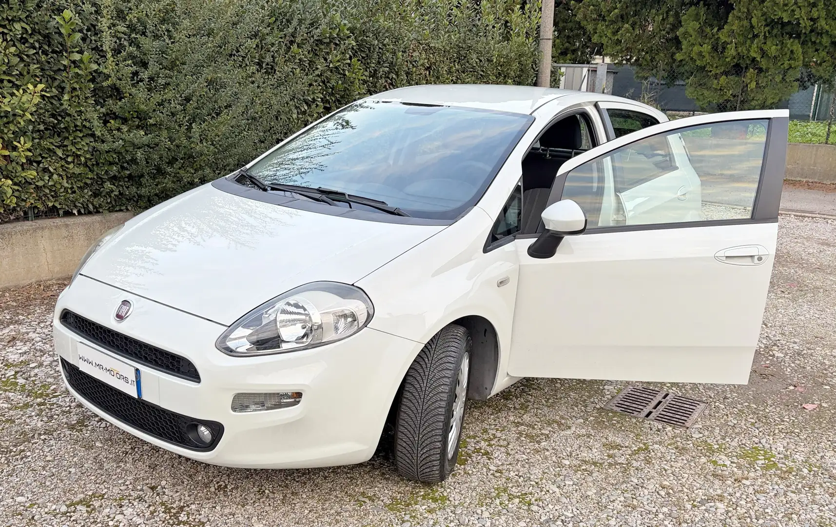 Fiat Punto 1.2 BENZINA # 68.000 KM. # UNICO PROPRIETARIO Bianco - 1