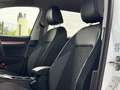 Volkswagen Golf VIII Life Goal 2.0 TDI DSG AHK,IQ-Light Weiß - thumbnail 12