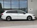 Volkswagen Golf VIII Life Goal 2.0 TDI DSG AHK,IQ-Light Weiß - thumbnail 6
