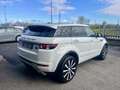 Land Rover Range Rover Evoque 5p 2.2 td4 Prestige 150cv auto 9m Bianco - thumbnail 4
