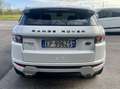 Land Rover Range Rover Evoque 5p 2.2 td4 Prestige 150cv auto 9m Bianco - thumbnail 5
