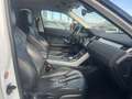 Land Rover Range Rover Evoque 5p 2.2 td4 Prestige 150cv auto 9m Bianco - thumbnail 11