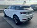 Land Rover Range Rover Evoque 5p 2.2 td4 Prestige 150cv auto 9m Bianco - thumbnail 7