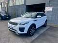 Land Rover Range Rover Evoque 5p 2.2 td4 Prestige 150cv auto 9m Bianco - thumbnail 1