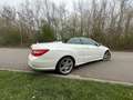 Mercedes-Benz E-Klasse E200CGI CABR. W212 AUT BlueEFFICIENCY Alb - thumbnail 3