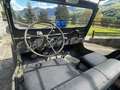 Jeep Willys AUTOCARRO Verde - thumbnail 15