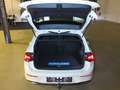 Volkswagen Golf VIII 2.0 TDI SCR DSG7 Style AHK Navi LM17 Weiß - thumbnail 7