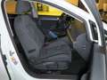 Volkswagen Golf VIII 2.0 TDI SCR DSG7 Style AHK Navi LM17 Weiß - thumbnail 11
