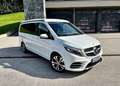 Mercedes-Benz Marco Polo Marco Polo 250 d lang 4MATIC Aut. Weiß - thumbnail 5