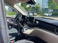 Mercedes-Benz Marco Polo Marco Polo 250 d lang 4MATIC Aut. Weiß - thumbnail 8