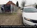 Skoda Rapid/Spaceback RAPID SPACEBACK*AUTOMATIK*LPG*GASANLAGE Weiß - thumbnail 8