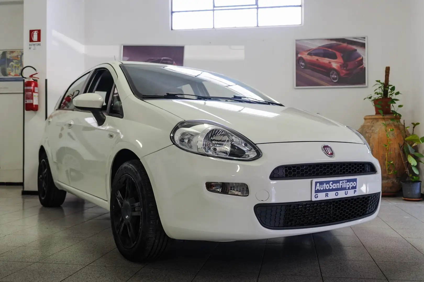 Fiat Punto 1.3 MJT 16V 5P 75CV STREET Wit - 1