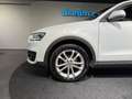 Audi Q3 2.0 TDI quattro / PANORAMA / ANHÄNGER / XENON / Weiß - thumbnail 8