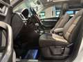 Audi Q3 2.0 TDI quattro / PANORAMA / ANHÄNGER / XENON / Weiß - thumbnail 23