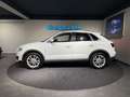 Audi Q3 2.0 TDI quattro / PANORAMA / ANHÄNGER / XENON / Weiß - thumbnail 14
