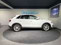 Audi Q3 2.0 TDI quattro / PANORAMA / ANHÄNGER / XENON / Weiß - thumbnail 13