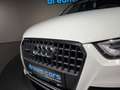 Audi Q3 2.0 TDI quattro / PANORAMA / ANHÄNGER / XENON / Weiß - thumbnail 15