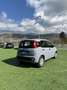Fiat Panda 1.0 hybrid GPL Appena Istallato - thumbnail 5