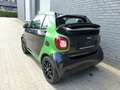 smart forTwo fortwo cabrio electric drive / EQ Leder Vert - thumbnail 6