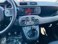 Fiat Panda 1.0 firefly hybrid City Life **PROMO SUMMER** Negro - thumbnail 13