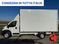 Fiat Ducato 35MAXI PORTA LATERALE CABINATO L4 BOX IN ALLUMINIO Bianco - thumbnail 3