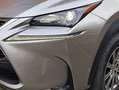 Lexus NX 300 300h Business 2WD Gris - thumbnail 17