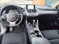 Lexus NX 300 300h Business 2WD Gris - thumbnail 10