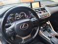 Lexus NX 300 300h Business 2WD Gris - thumbnail 11