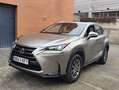Lexus NX 300 300h Business 2WD Gris - thumbnail 3